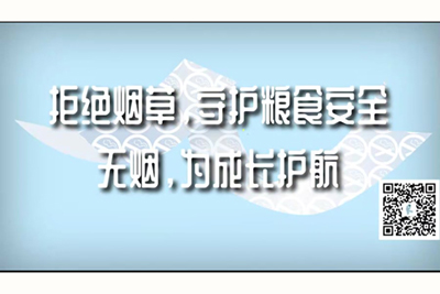 大鸡巴艹逼网站拒绝烟草，守护粮食安全